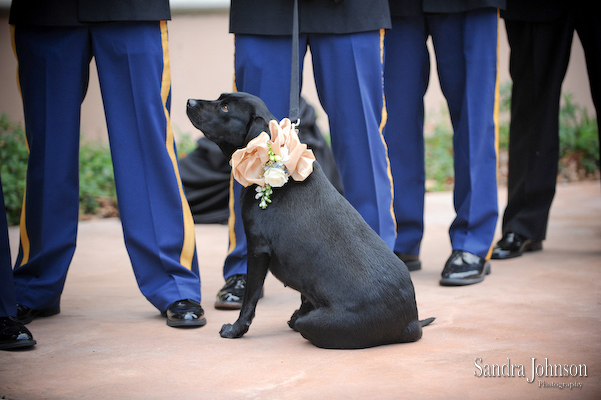 Best Portofino Bay Hotel Wedding Photos - Sandra Johnson (SJFoto.com)